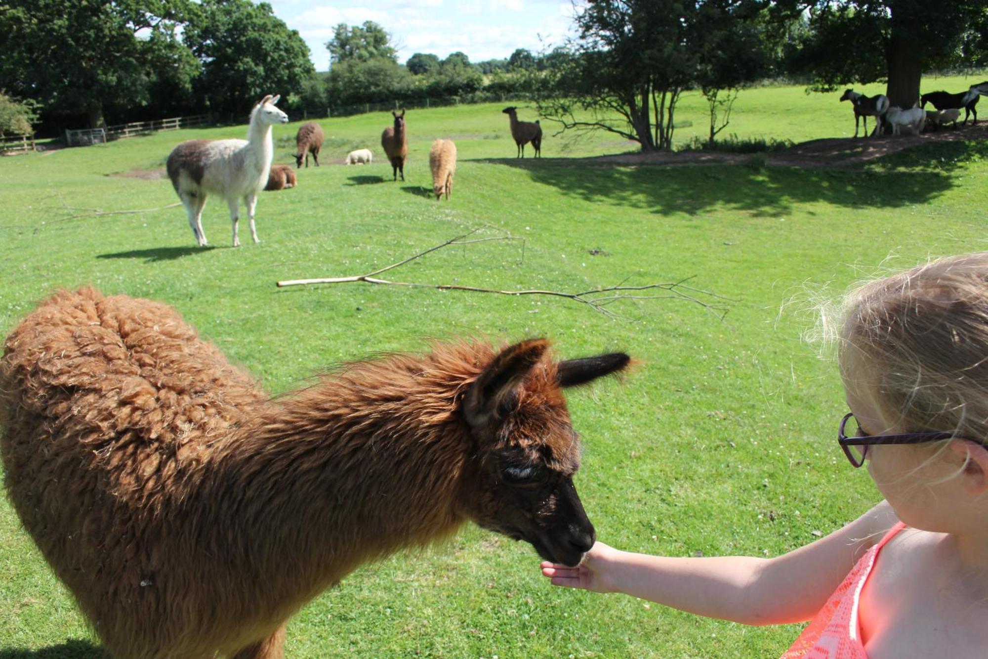 Glamping West Midlands Enville